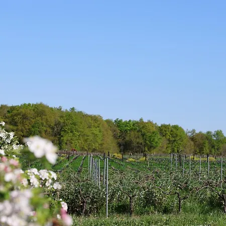 La Cannonerie Casa de Férias Réaux